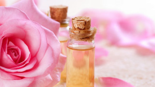 Perfume pink rose background foreground - rose free wallpaper
