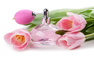 Perfume pink flowers white background - a still life free wallpaper