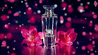 Perfume bottle pink flowers table - a pink flower in the foreground free wallpaper