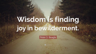 Road trees grass quote wisdom - widescreen free wallpaper