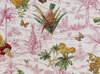 Flowers butterflies wallpaper colorful nature - a wallpaper free wallpaper
