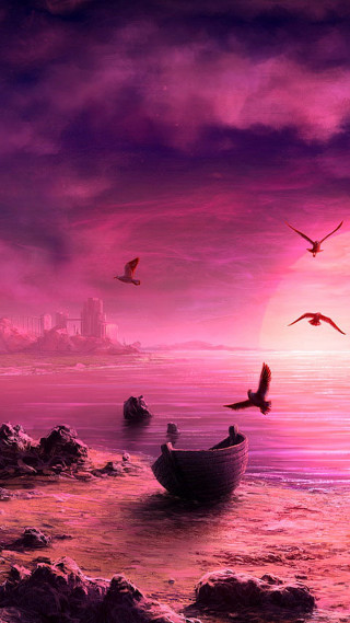 Boat water birds city sunset - sunset free wallpaper
