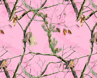 Pink tree branch leaves illustration - a pink background behind free wallpaper