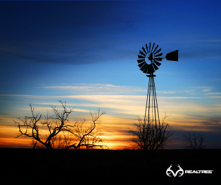 Windmill sunset tree blue sky - a tree in the foreground free wallpaper