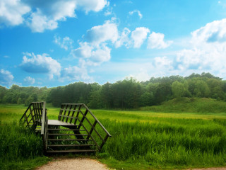 Wooden bench grass field sky - betye saar free wallpaper