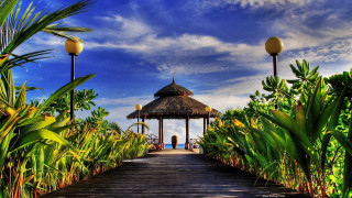 Wooden walkway gazebo tropical plants - tropical free wallpaper