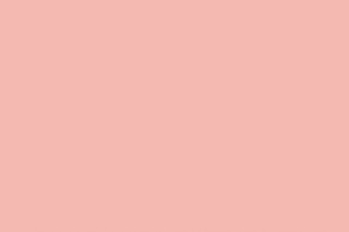 Pink background black white cats - the bottom of the picture free wallpaper