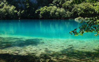 Lake clear blue water trees - impressionist free wallpaper