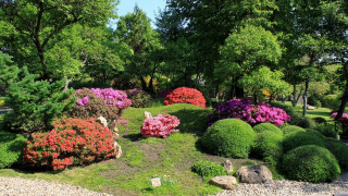 Garden flowers rocks bench middle - rich vivid color free wallpaper