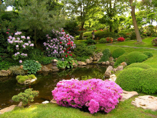 Garden pond flowers path bridge - a path free wallpaper