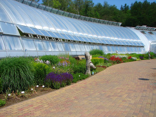 Walkway flower field mosaic building - flora macdonald reid free wallpaper