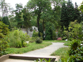 Cement bench park trees cherry - a house in the distance free wallpaper