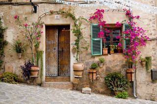 Building flowers growing side wall - a building free wallpaper