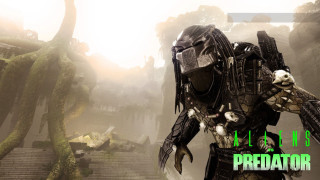 Predator sci fi environment green - primitivism free wallpaper