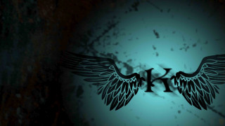 Wing letter h black white - kinetic free wallpaper for desktop