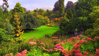 Lush green field flowers trees 2 - afewerk tekle free wallpaper