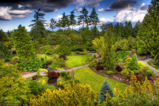 Lush green park river trees - a lush green park free wallpaper