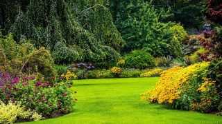 Lush green garden flower path - a path free wallpaper