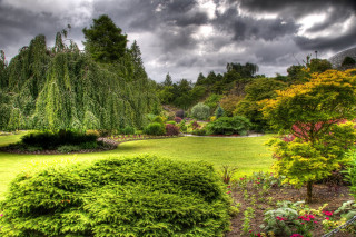 Lush green park trees flowers 2 - a lush green park free wallpaper