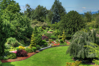 Lush green park trees flowers - a lush green park free wallpaper