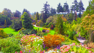 Lush green field flowers trees 3 - vivid free wallpaper