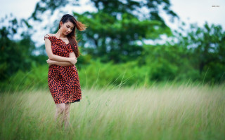 Red dress woman field crossed - christabel dennison free wallpaper for desktop