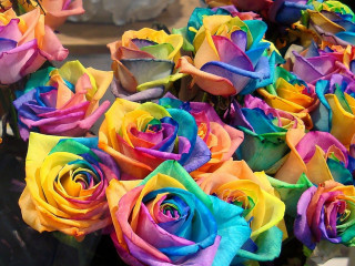 Multicolored roses vase table statue - crayon art free wallpaper