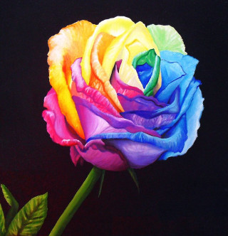 Rainbow rose vase starry sky - aaron jasinski free wallpaper