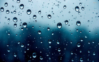 Window rain drops trees background - an gyeon free wallpaper