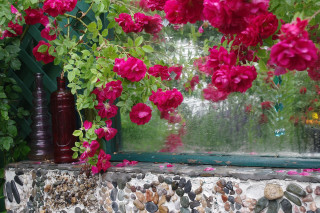 Window sill flowers vase stone - anne rigney free wallpaper