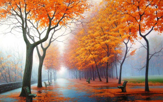 Park trees benches rain bench 2 - the side of the road free wallpaper