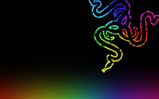 Colorful lizard black background rainbow - background free wallpaper