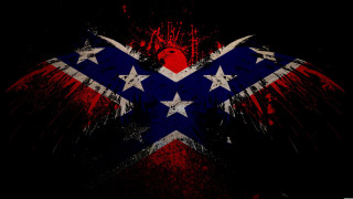 Red white blue bird stars 2 - wallpaper free wallpaper