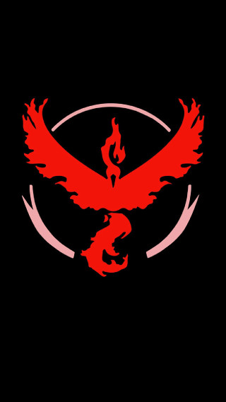 Red bird black background red 2 - pokemon free wallpaper