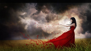Woman red dress field red - a red dress free wallpaper