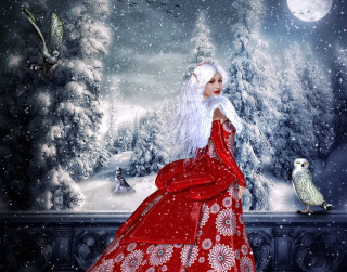 Woman red dress snowy landscape - the fence free wallpaper
