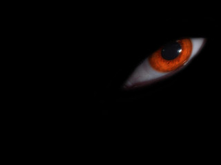 Cat eye orange white iris - realistic eye free wallpaper