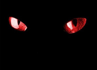 Black cat eyes red light - red eye free wallpaper