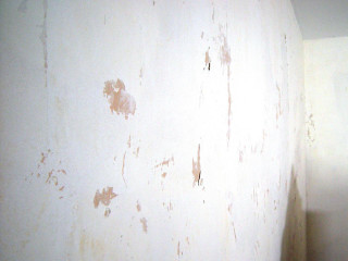 White wall peeling paint toilet - paint free wallpaper