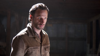 Man brown shirt serious look 3 - his face and shoulders free wallpaper