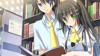 Couple people bookshelf books in - book free wallpaper
