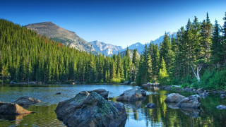 Lake trees rocks forest mountains 2 - the middle of a forest area free wallpaper