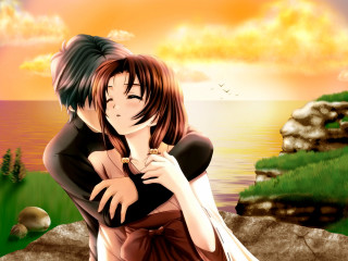 Couple hugging sunset water bird 3 - over them free wallpaper