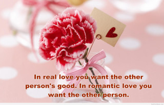 Pink carnation love card romantic - good free wallpaper