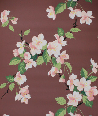 Brown white flower pattern green - white flower free wallpaper
