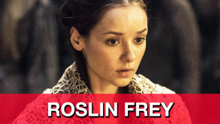 Rosin fry promo portrait red - a red banner free wallpaper