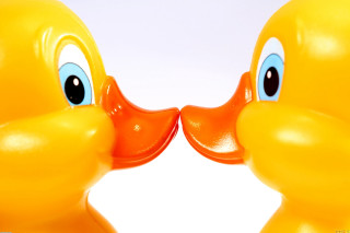 Yellow rubber ducks blue eyes - product photo free wallpaper