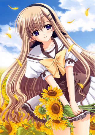 Girl long hair sunflower field - a field of sunflowers free wallpaper