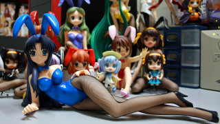 Anime dolls shelf table computer - a shelf free wallpaper