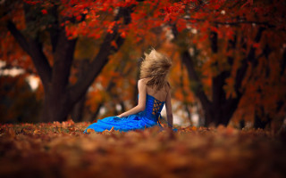 Woman blue dress autumn leaves 2 - red leaf free wallpaper